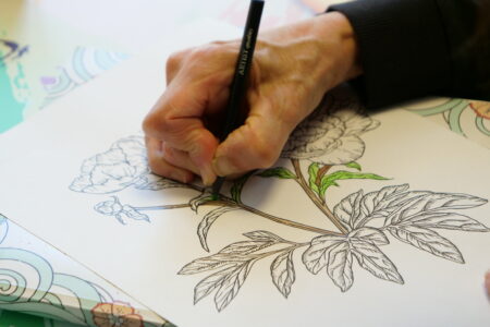 Une main qui tient un crayon pour colorier une fleur