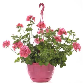 Pel_zon_trend_light_pink_2