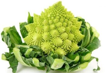 chou_romanesco_2