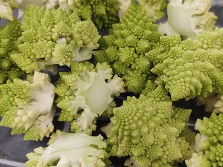 chou_romanesco_3