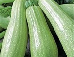 courgette_lorea