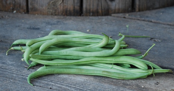 haricot_vert_1
