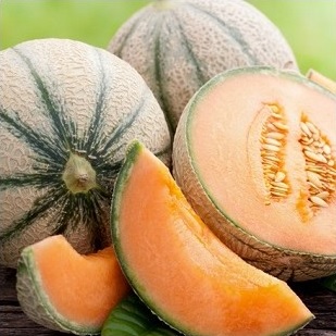 melon_edgar_2