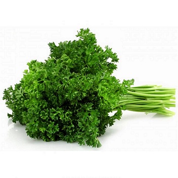 persil_frise_robust