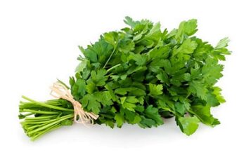 persil_plat_geant_d_Italie_3