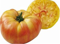 tomate_ananas