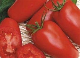 tomate_bellandine