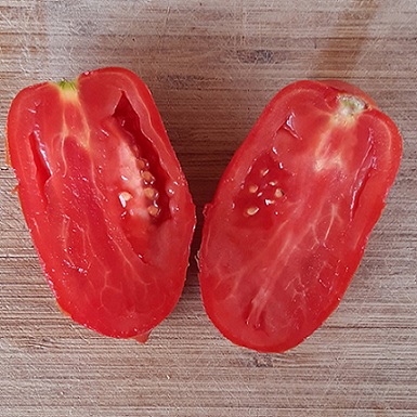 tomate_bellandine_2