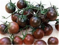 tomate_cerise_black_cherry