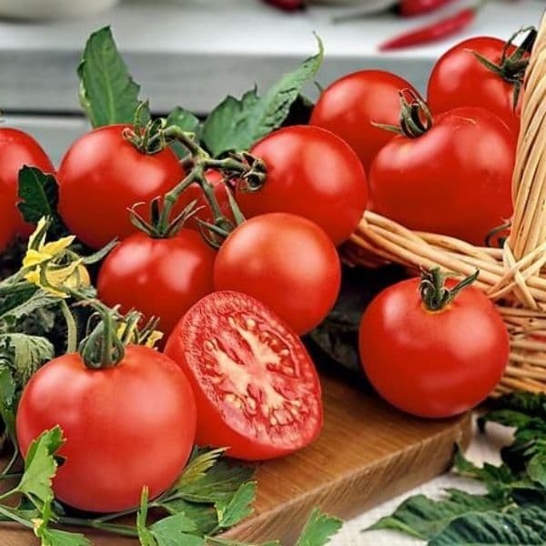 tomate_cerise_harmonie4