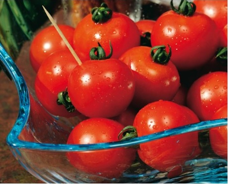 tomate_cerise_harmony2