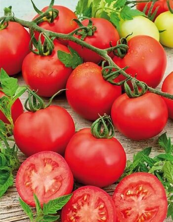 tomate_corazon_3