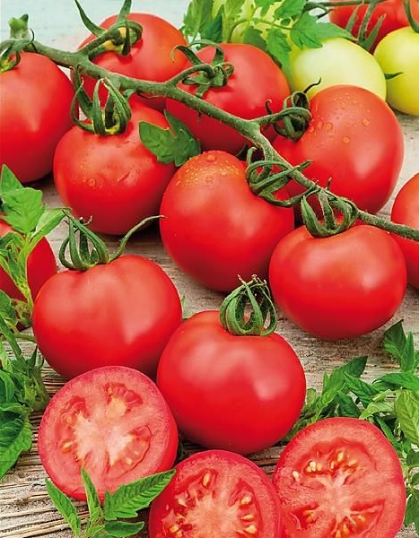 tomate_corazon_3