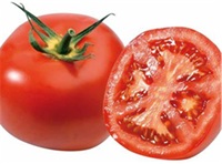 tomate_fandago
