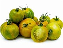 tomate_green_zebra